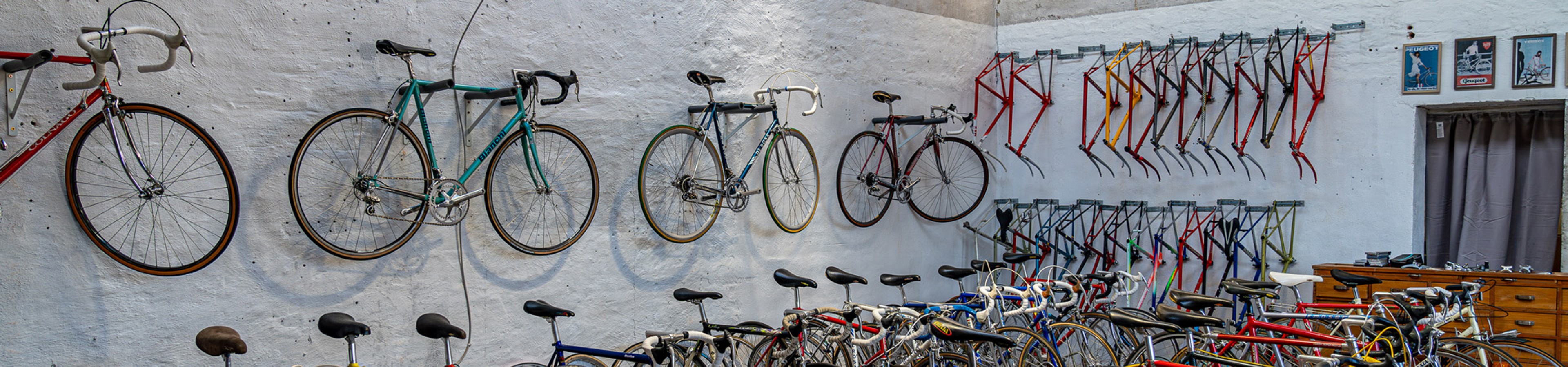 VELOLOID