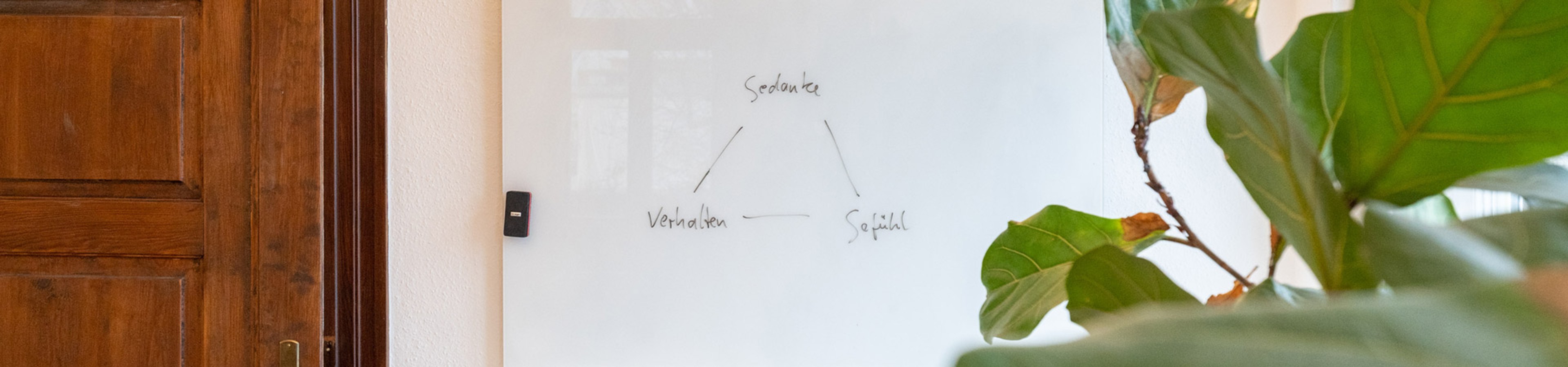 Psychotherapeutische Praxis Aigner, Freymüller und Glied
