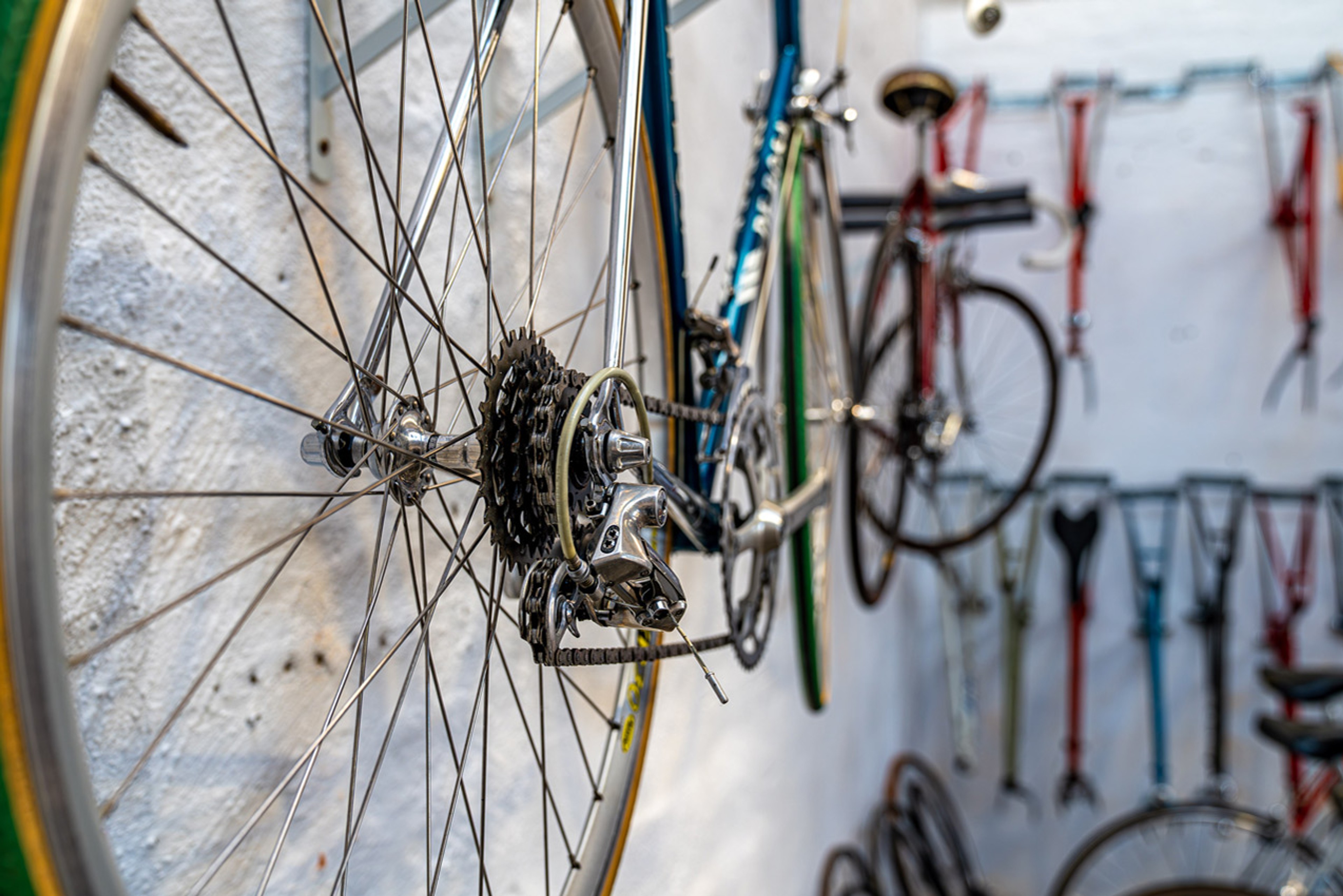 VELOLOID, Bild 6