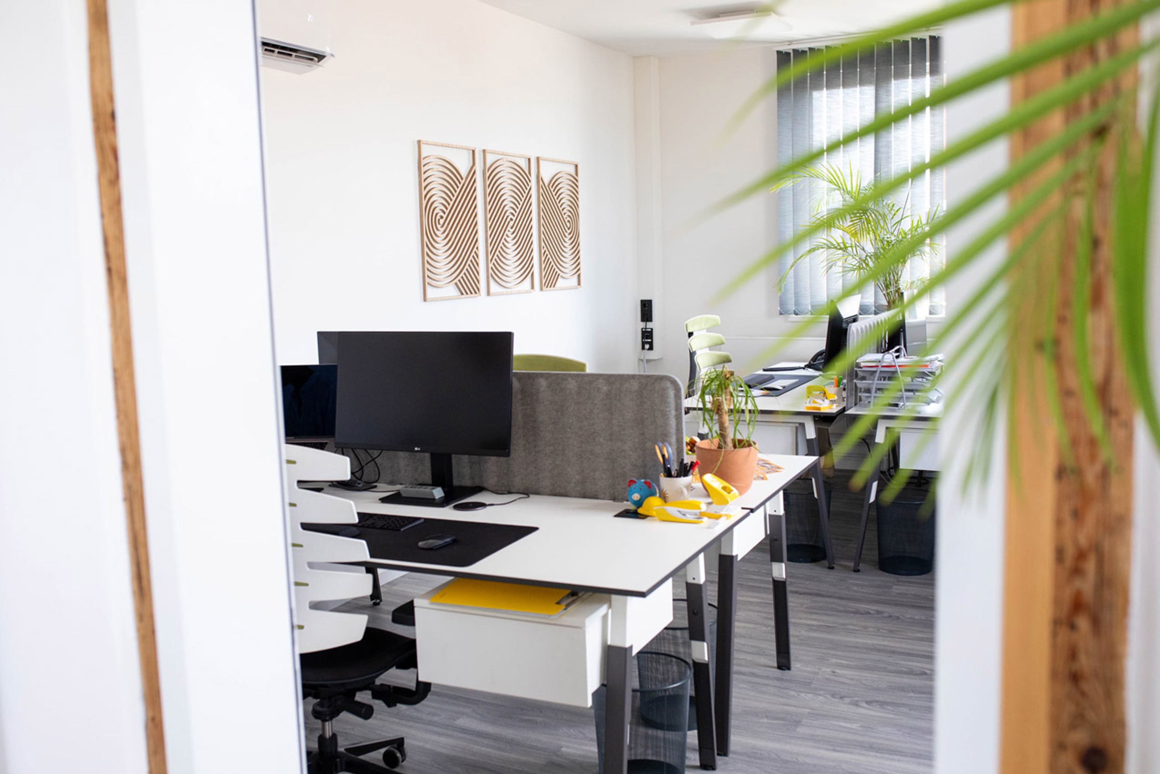 sun concept Werbeagentur, Bild 2