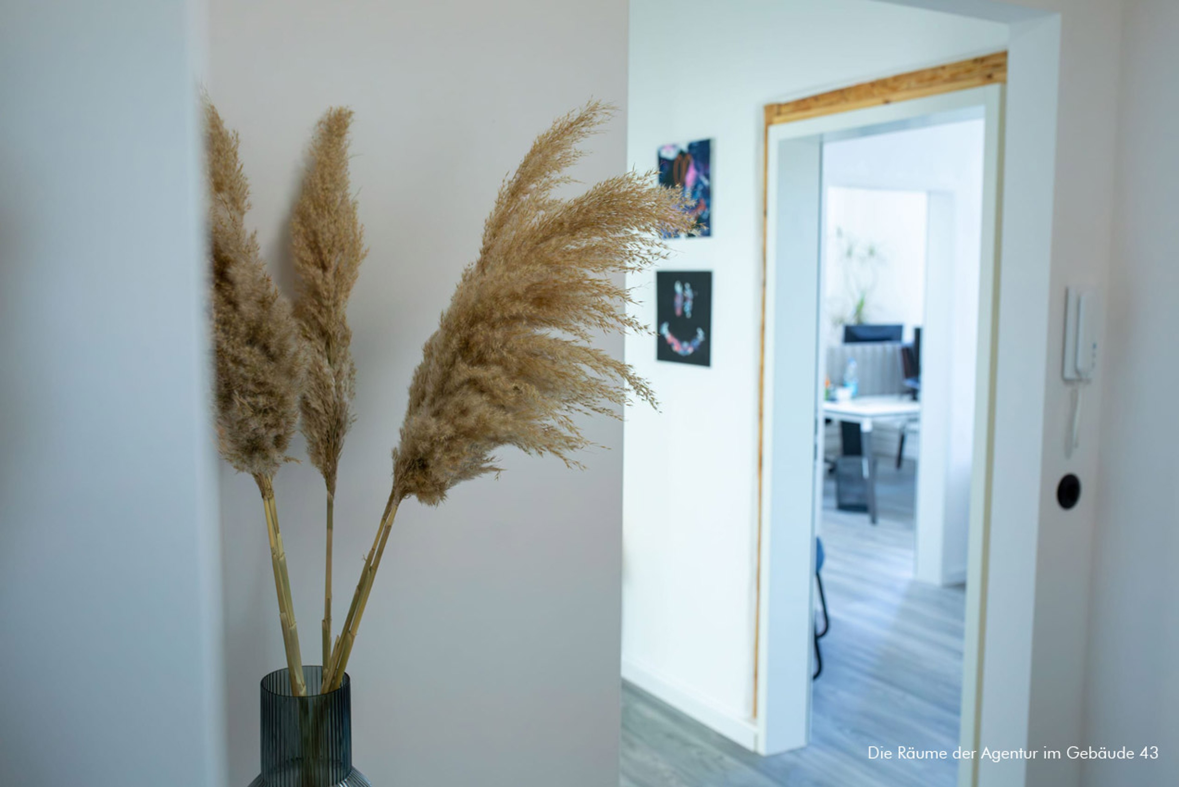 sun concept Werbeagentur, Bild 3