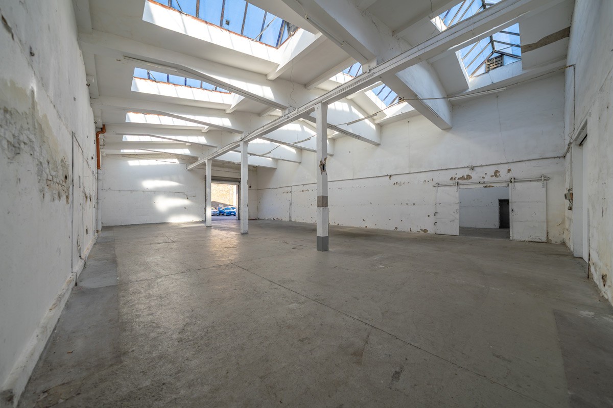 Halle 50