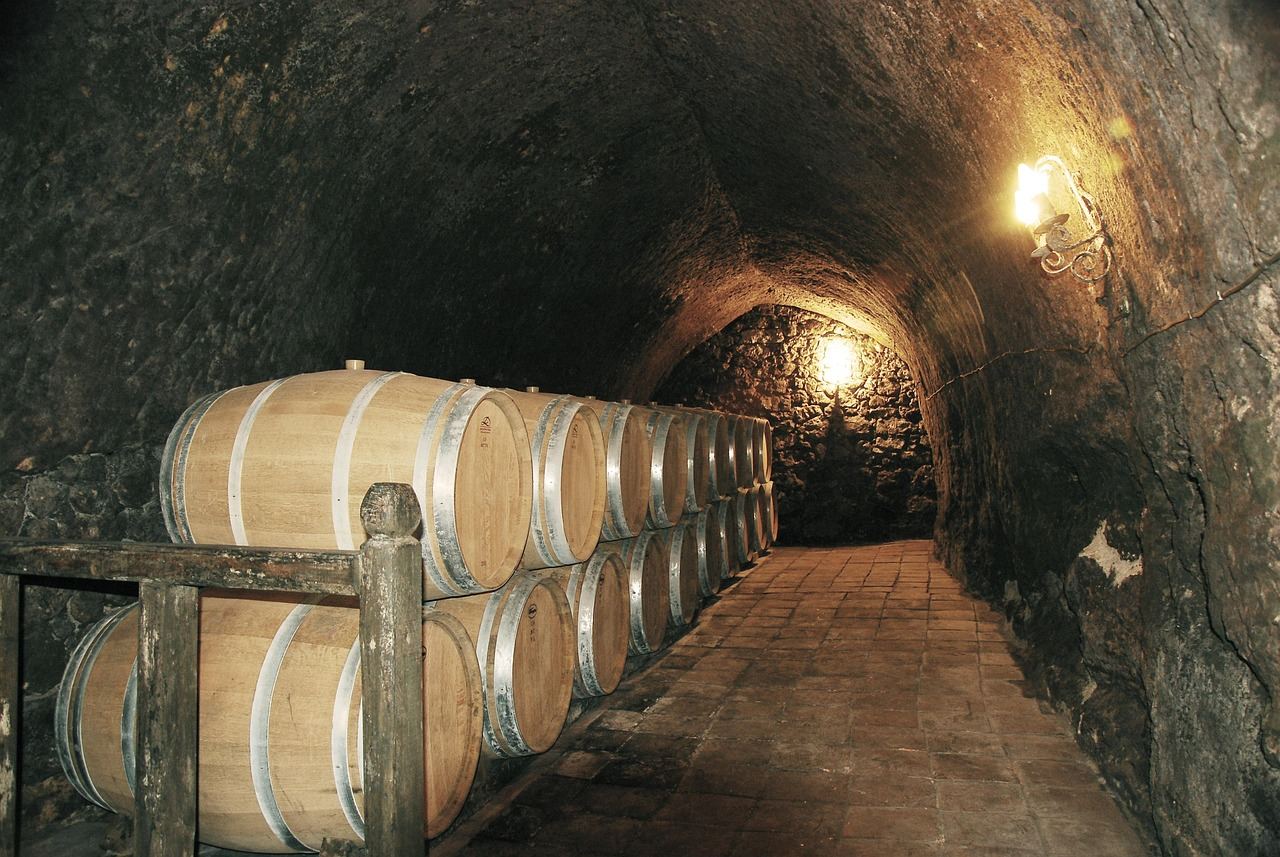 A picturesque vineyard stretches across rolling hills, with rows of grapevines basking in the golden sunlight.