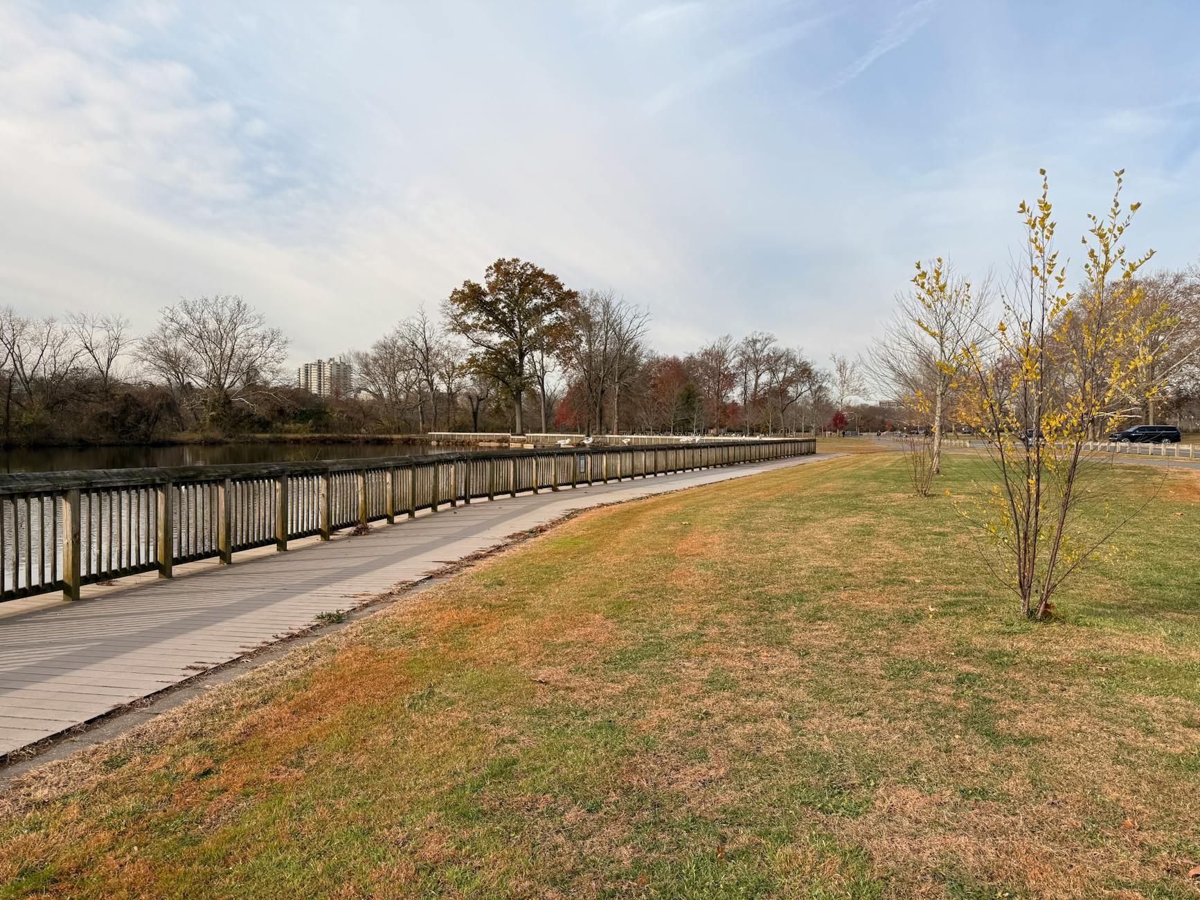 A serene riverwalk lined with a wooden path, surrounded by vibrant autumn trees showcasing their colorful changing leaves.
