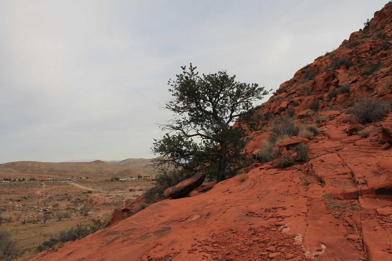 Vibrant red rock formations rise majestically against a clear blue sky, inviting climbers to explore their rugged surfaces.