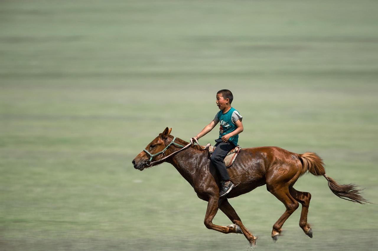 A young boy joyfully riding a chestnut horse through a sunlit meadow, with a wide smile on his face.