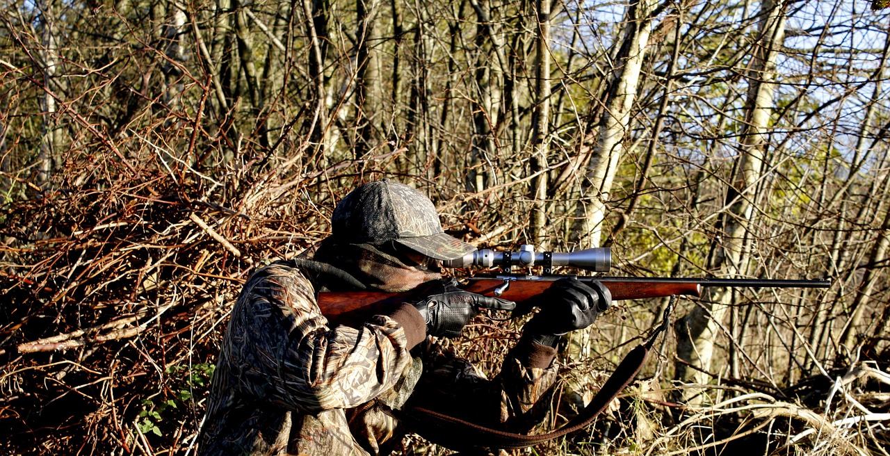 A serene forest landscape with a hunter in camouflage, poised with a rifle, surrounded by tall trees and autumn foliage.