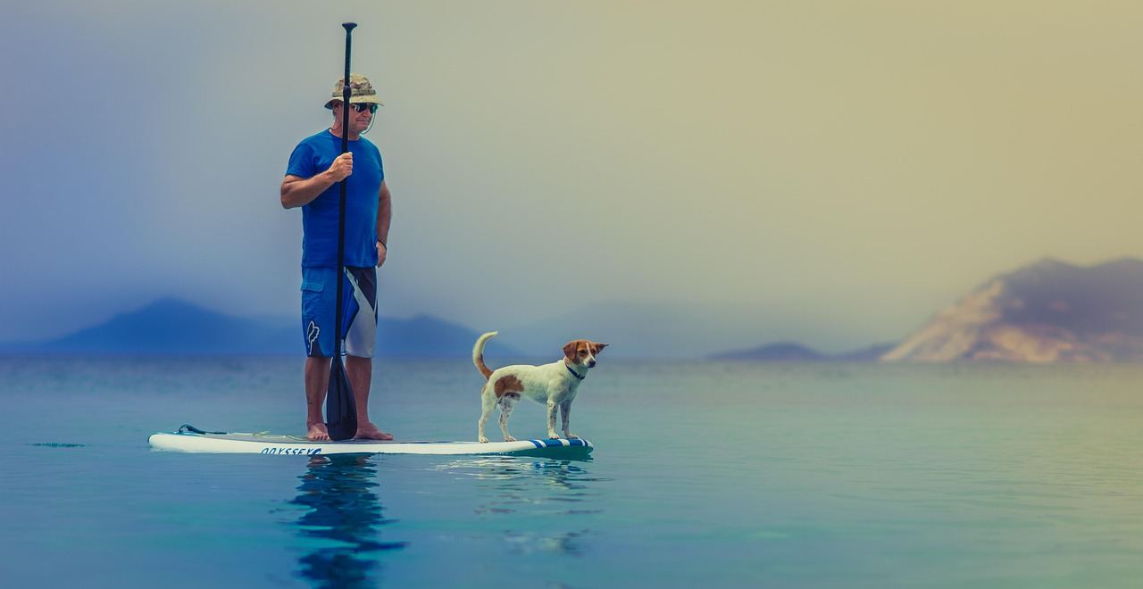 A vibrant scene of people enjoying standup paddleboarding on a serene lake, surrounded by lush greenery and clear blue skies.