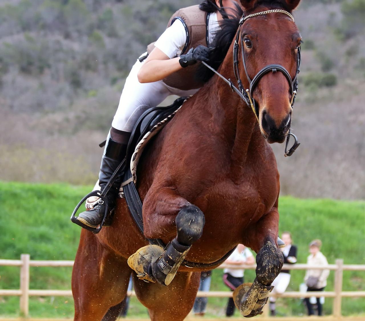 A majestic show jumping horse gracefully clears a colorful obstacle against a bright blue sky.