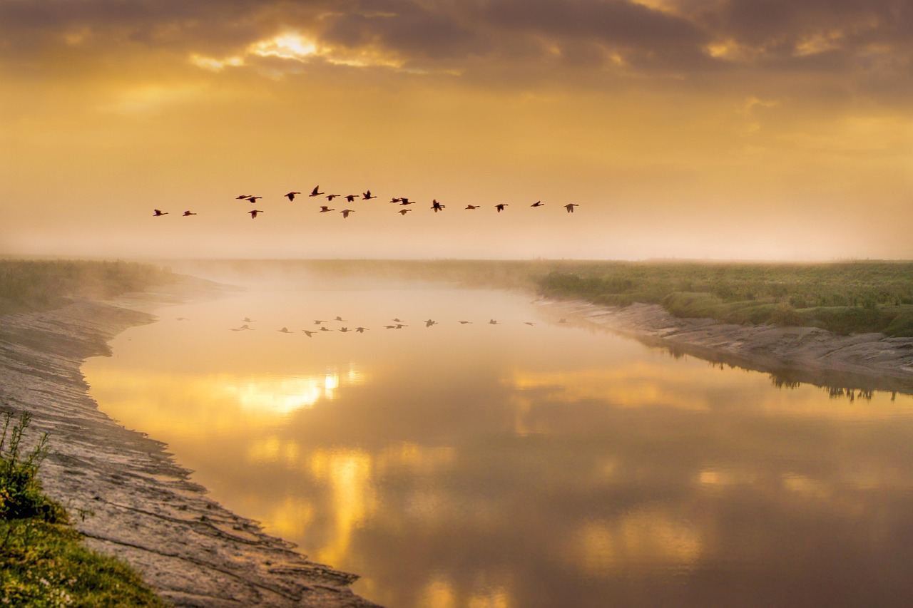 A serene river reflecting a sunset, perfect for exploring drone photography's unique perspectives.