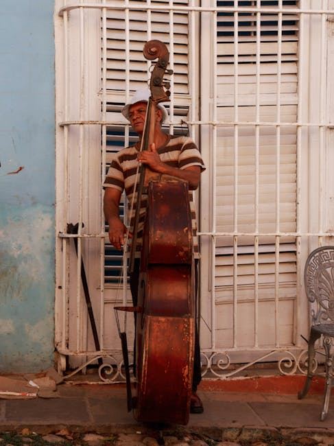 A musician playing a double bass, showcasing the instrument in a vibrant outdoor setting.