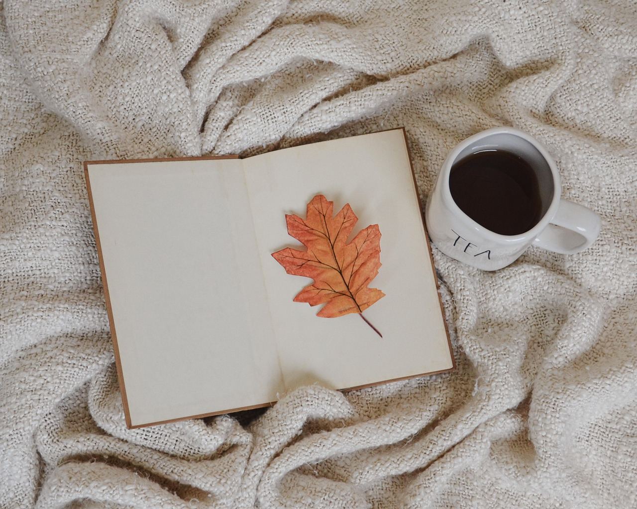An open book rests on a cozy blanket, inviting readers to explore its pages filled with stories.