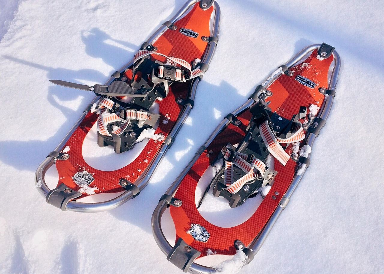 A pair of snowshoes resting on a pristine blanket of untouched snow, surrounded by tall evergreen trees.