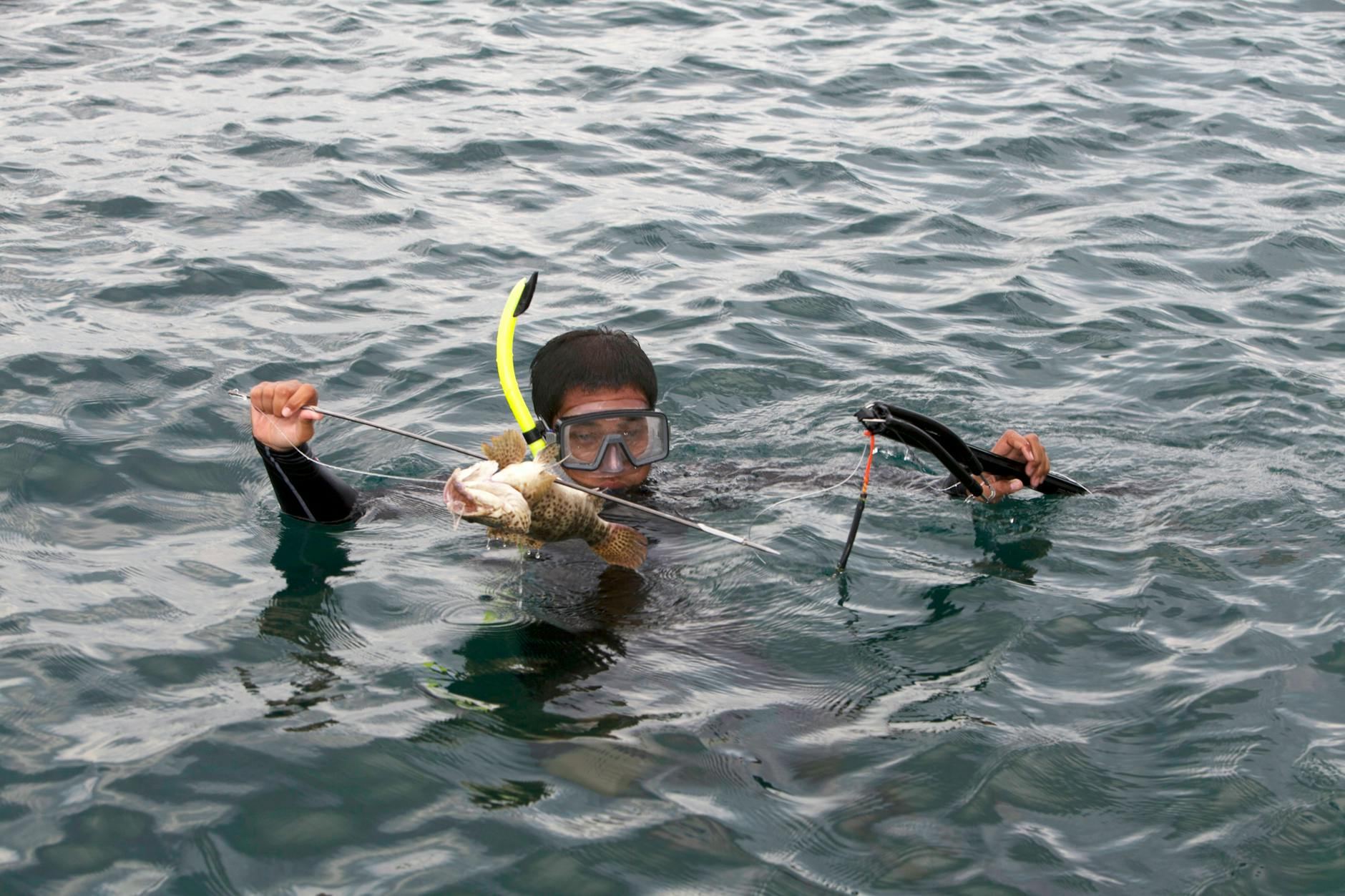 A spearfisherman in snorkel gear holding a caught fish in open water.