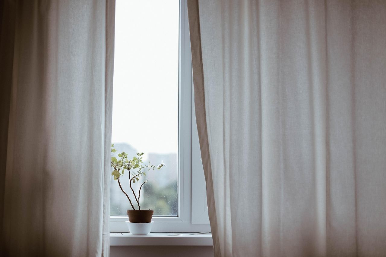 A small plant on a windowsill, inviting you to explore if indoor gardening is for you.