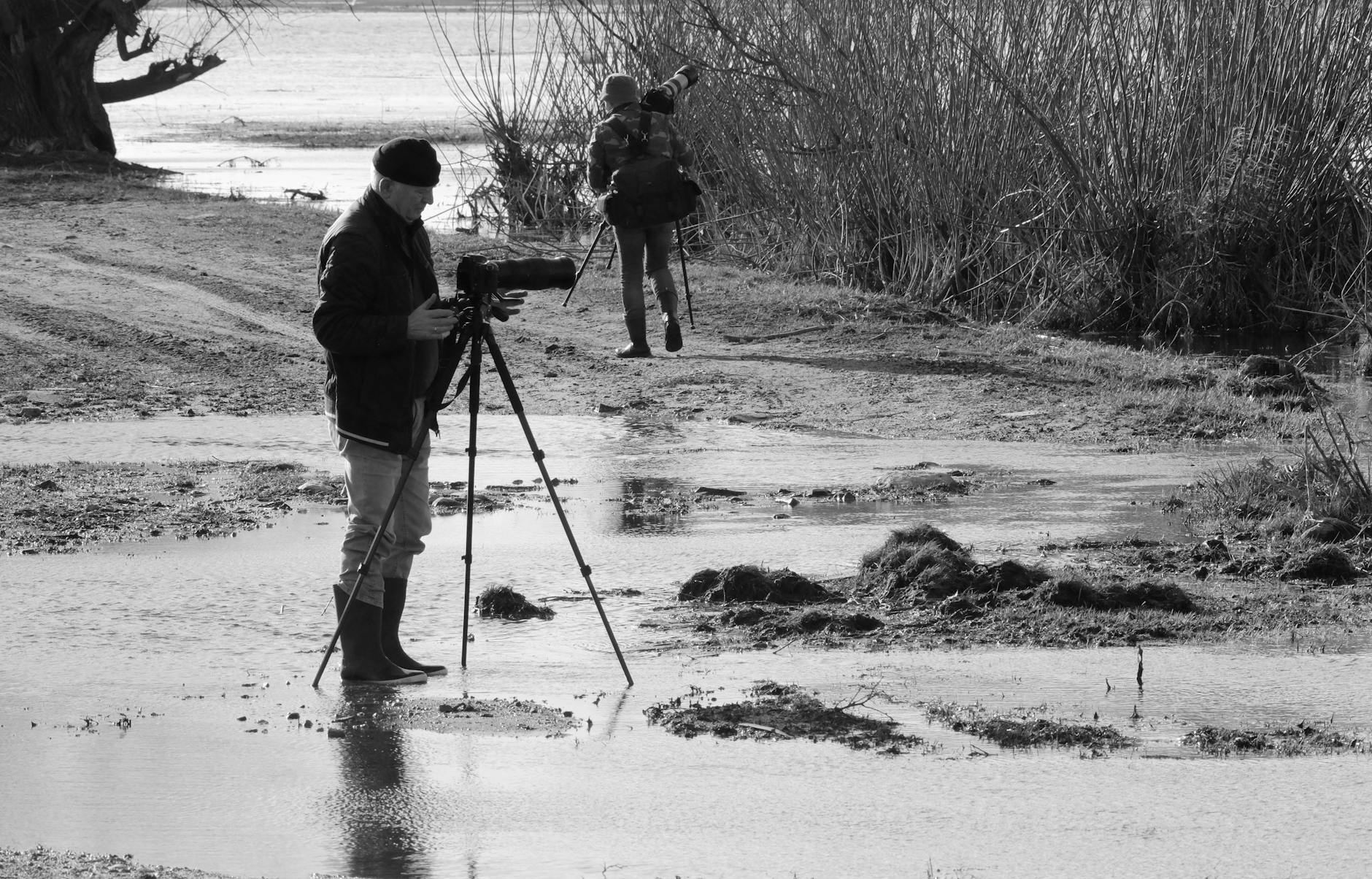 Two photographers with tripods capture serene wetland scenes in black and white.