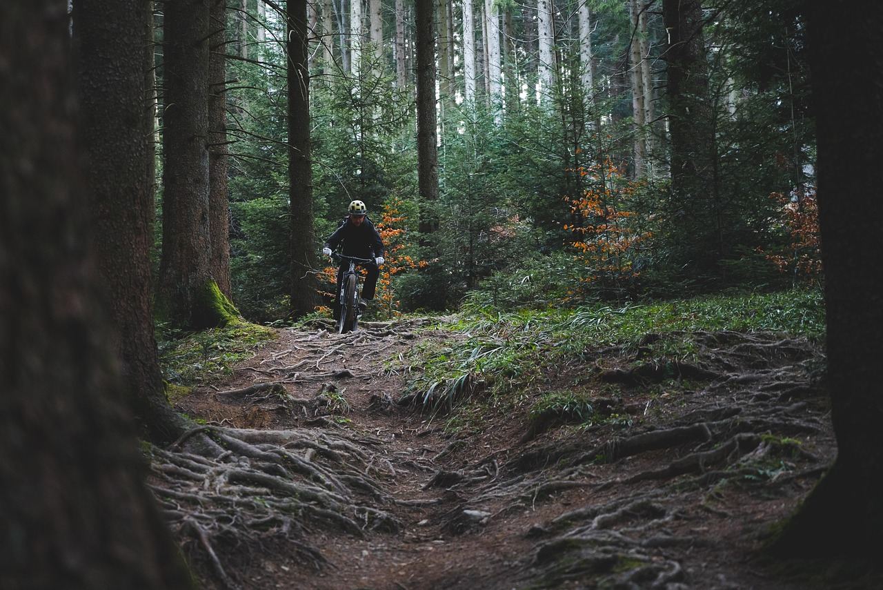 A cyclist navigates a winding bike trail surrounded by lush greenery and vibrant wildflowers.