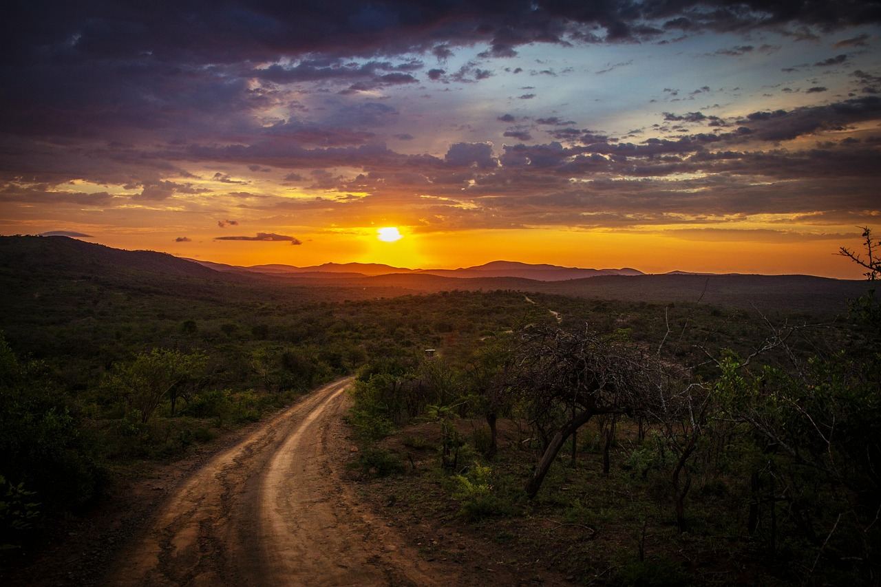 A winding dirt road stretches through a lush green landscape, inviting runners to explore its natural beauty.