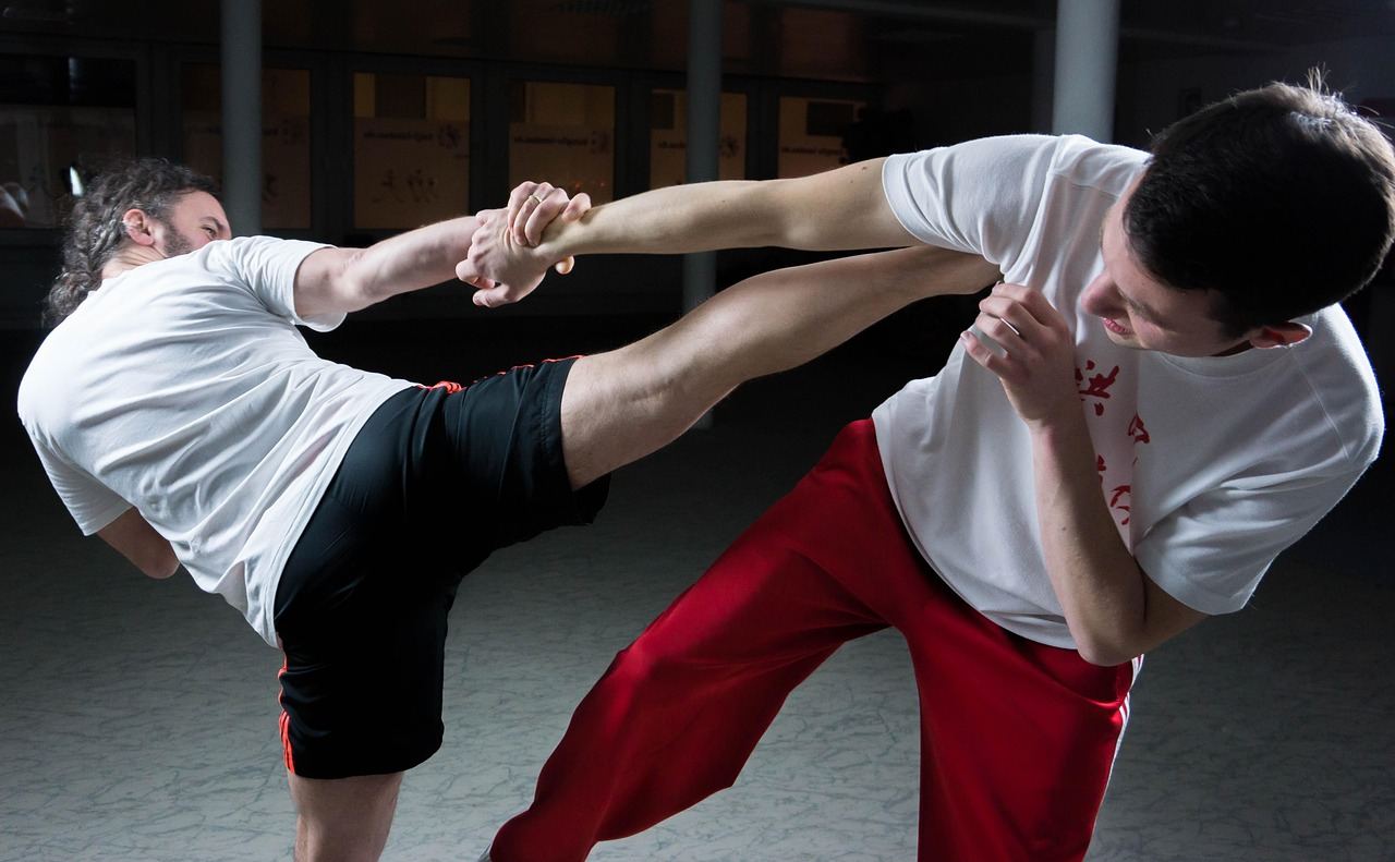 Two martial artists sparring, demonstrating techniques relevant to mixed martial arts training.
