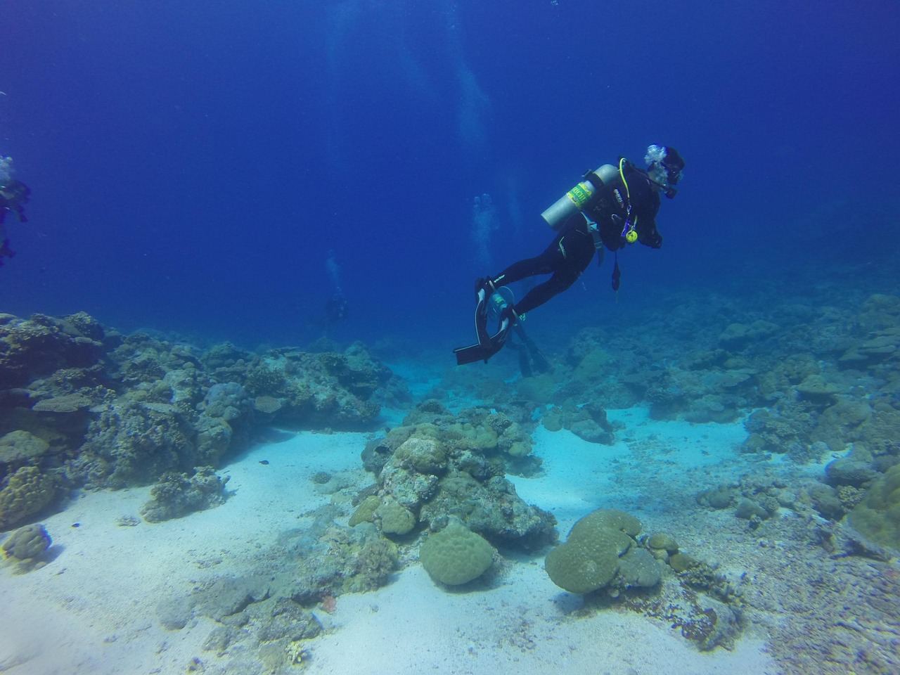 A diver exploring underwater landscapes, embodying the essence of 'Is Freediving for you? Let's find out!'