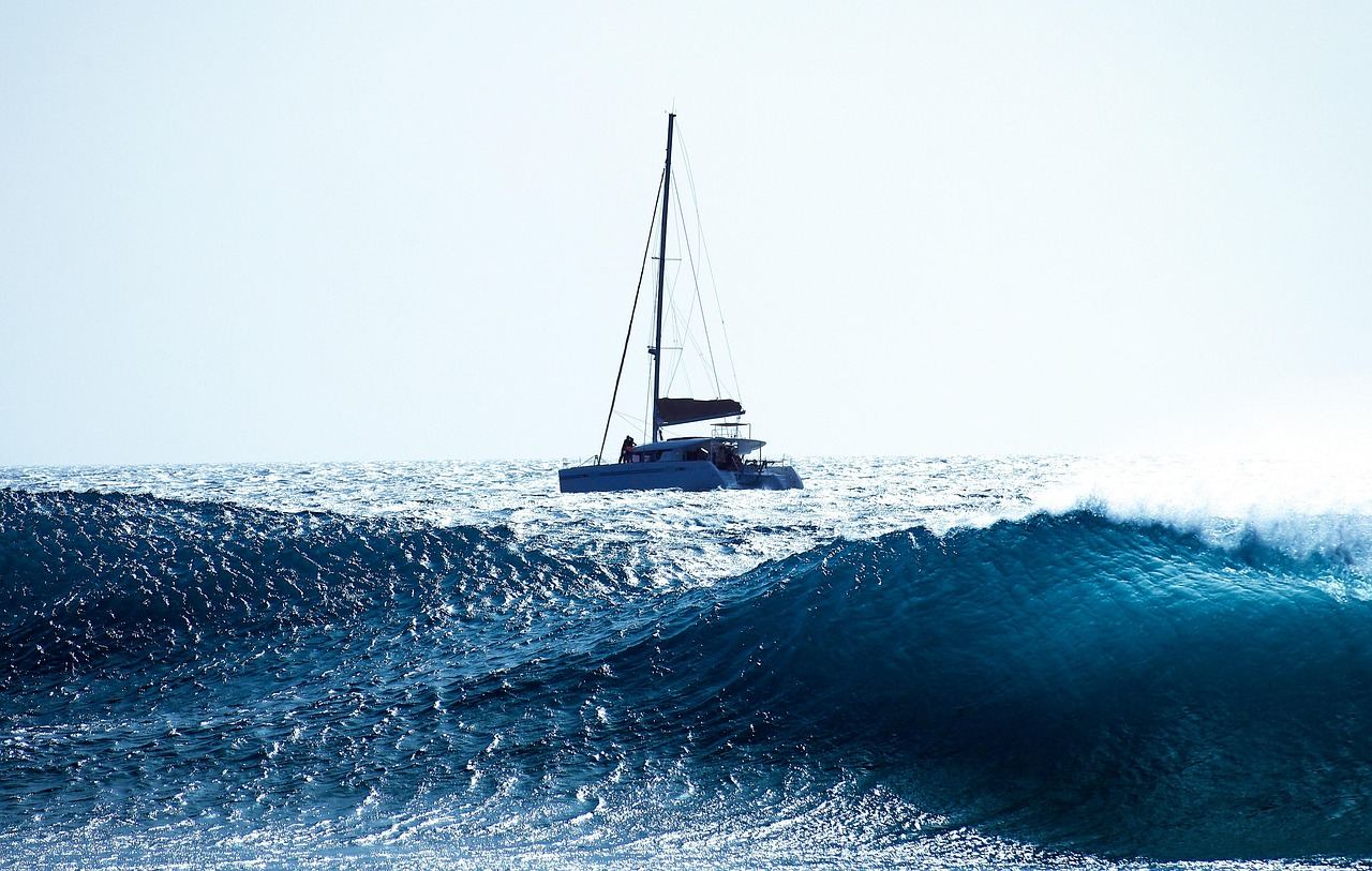 A vibrant blue sea stretches out under a clear sky, with a sleek catamaran gliding gracefully across the water's surface.