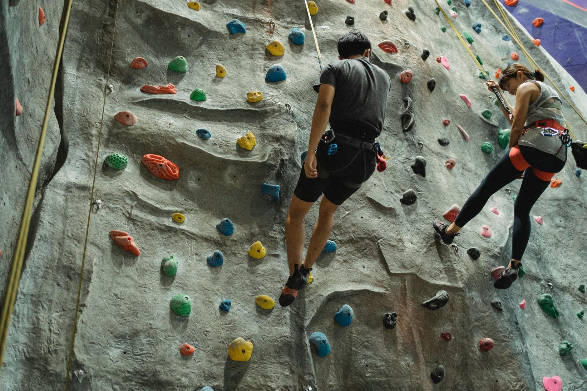 Back view of anonymous sportspeople in activewear hanging on rope after ascending climbing wall in bouldering center