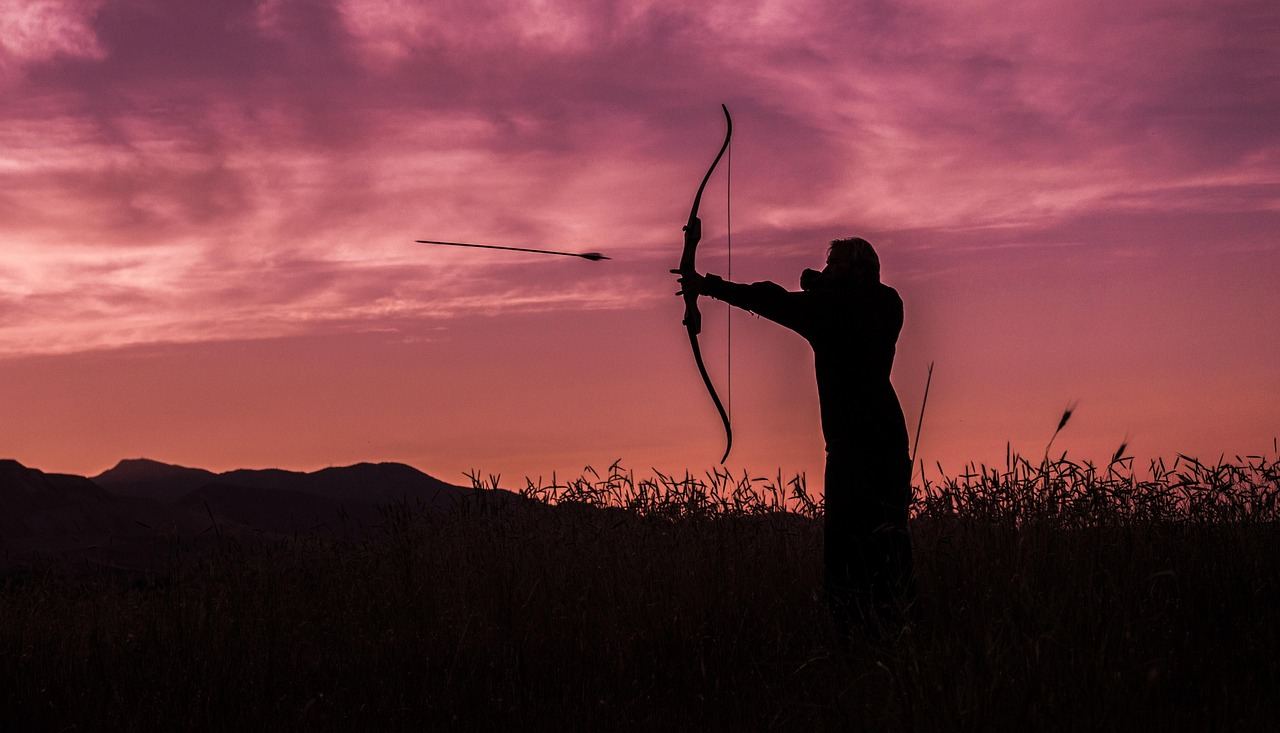 A focused archer draws back a bowstring, poised to release an arrow towards a distant target in a lush green field.