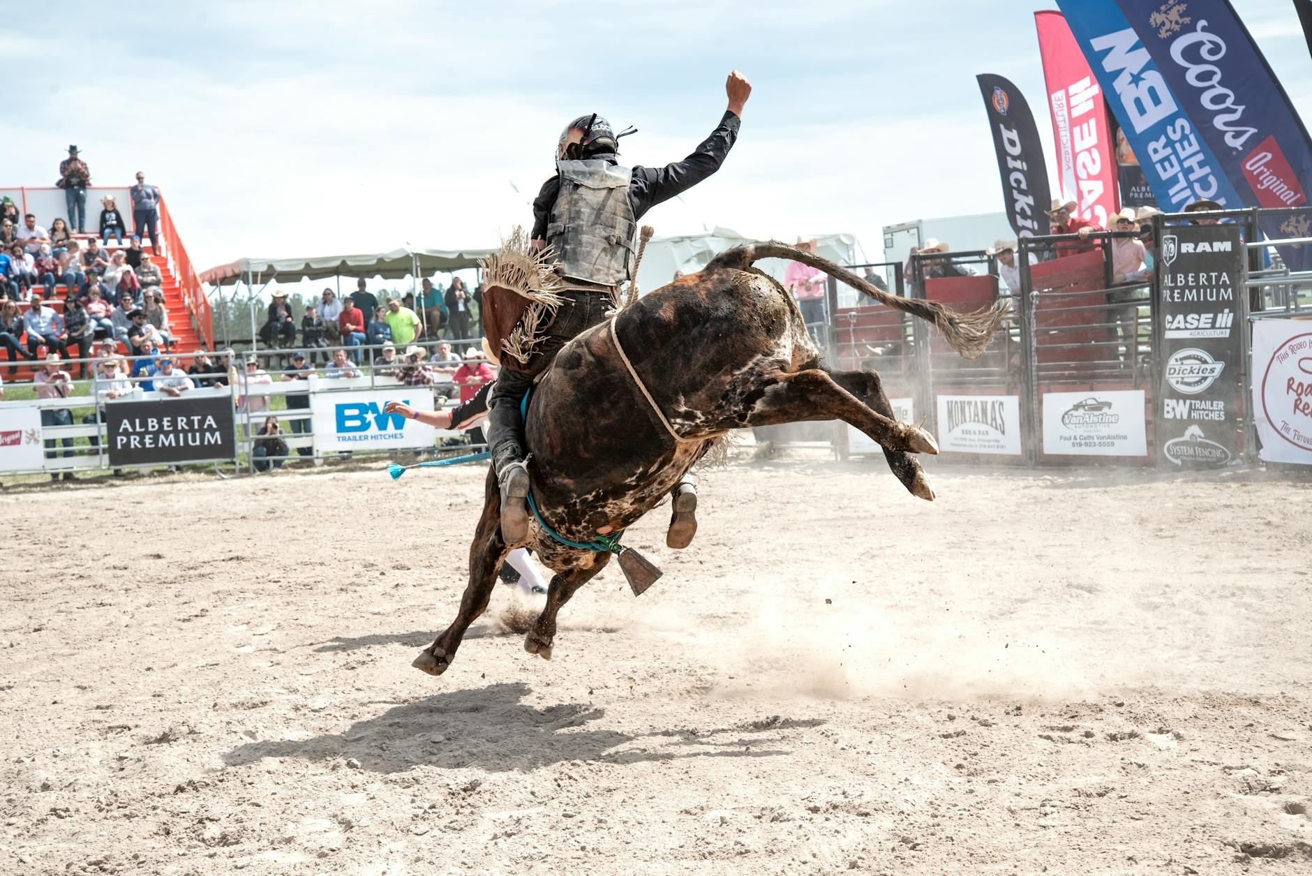 A cowboy expertly balances on a bucking bull amidst a cheering crowd at a thrilling rodeo event.