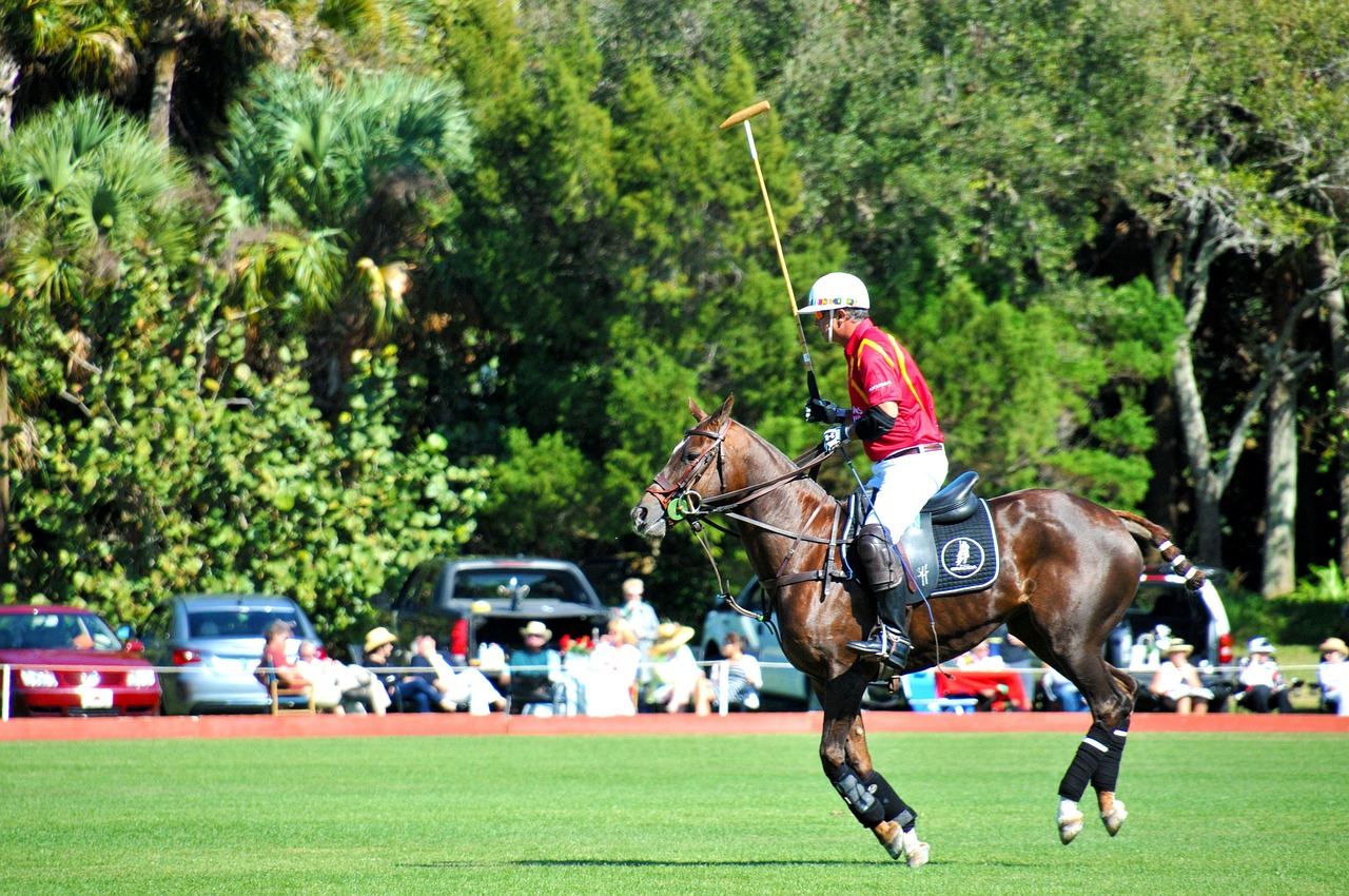 A dynamic polo match captures players on horseback, skillfully wielding mallets as they chase a ball across a lush green field.