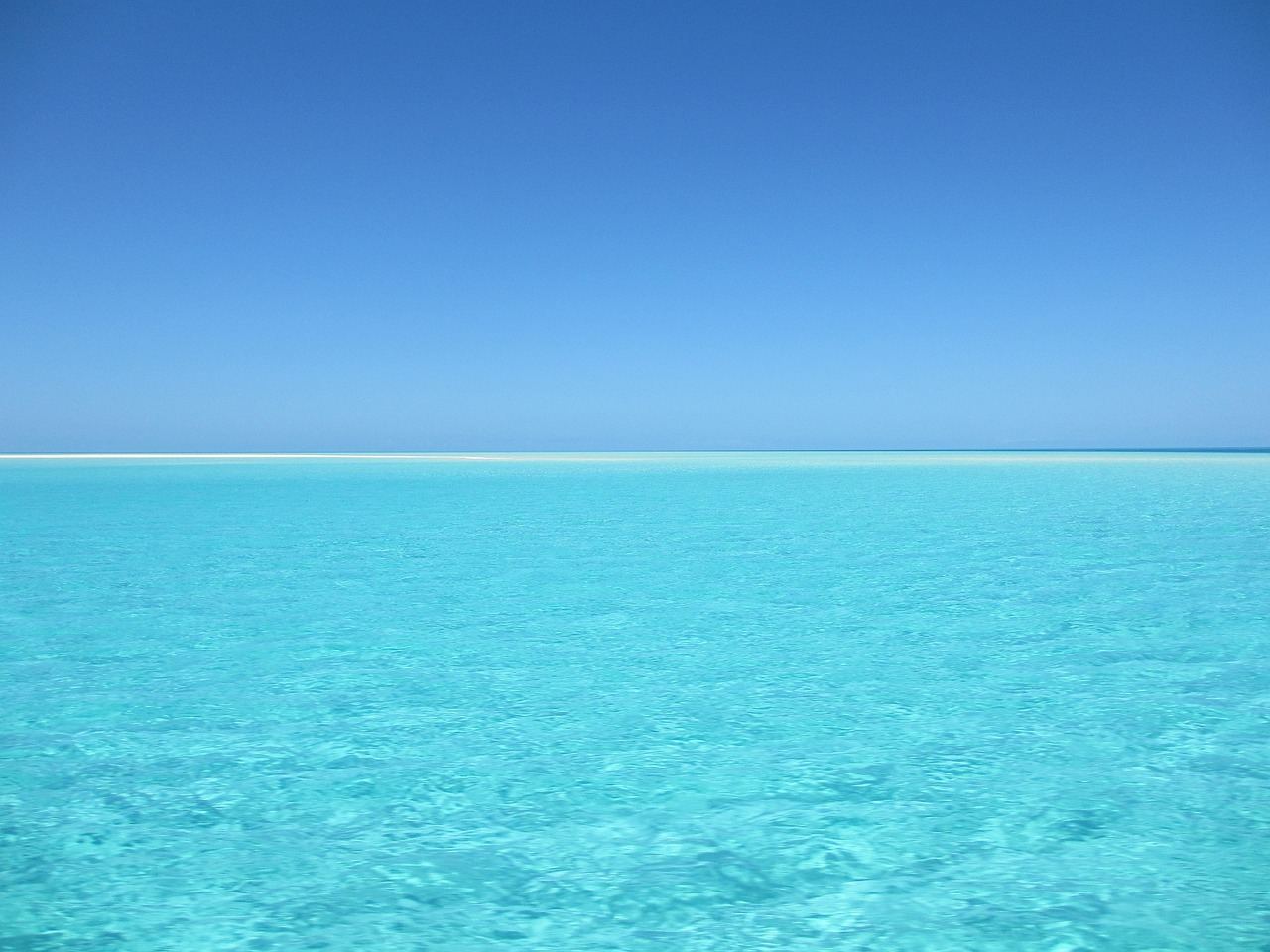 A vast expanse of deep blue ocean under a clear sky, with gentle waves reflecting sunlight.