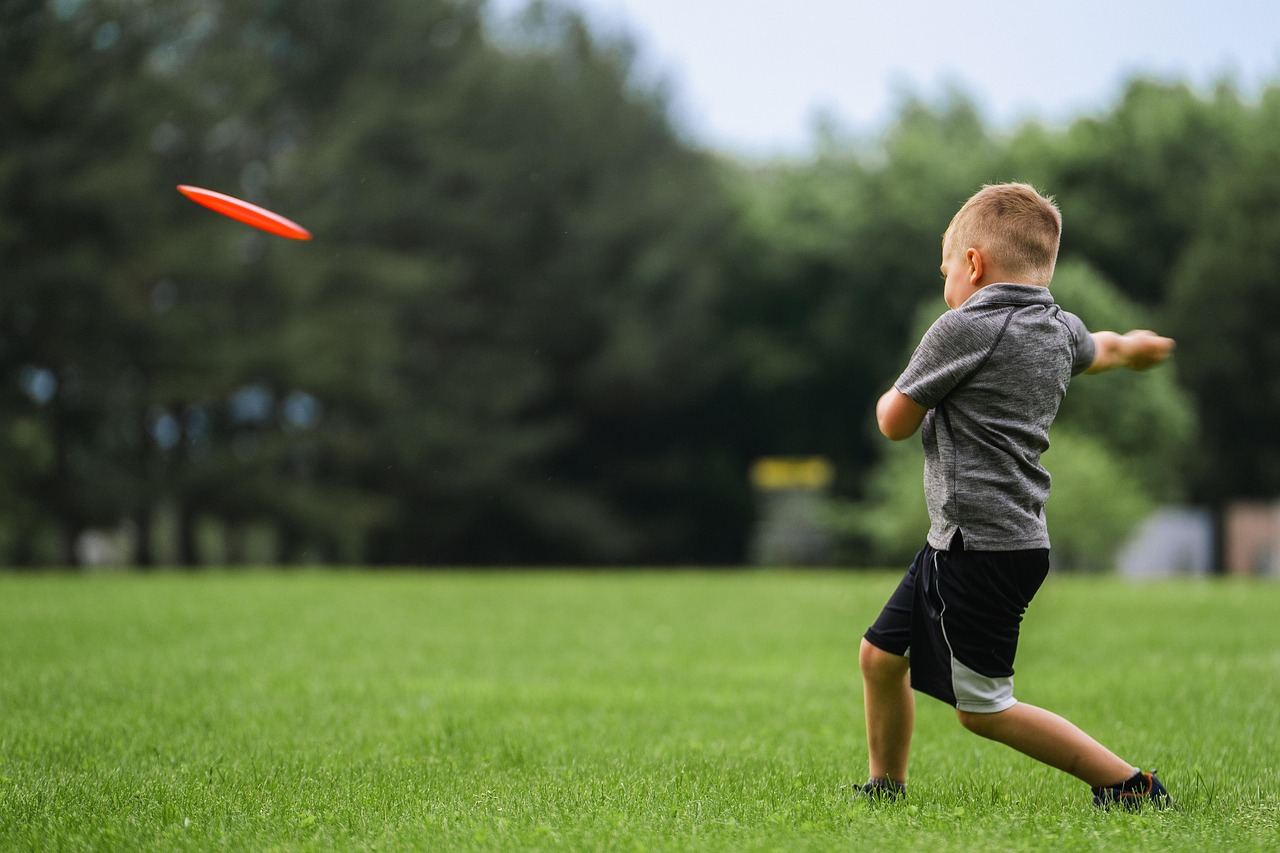 A vibrant scene of a player throwing a disc towards a basket, surrounded by lush greenery and a clear blue sky.