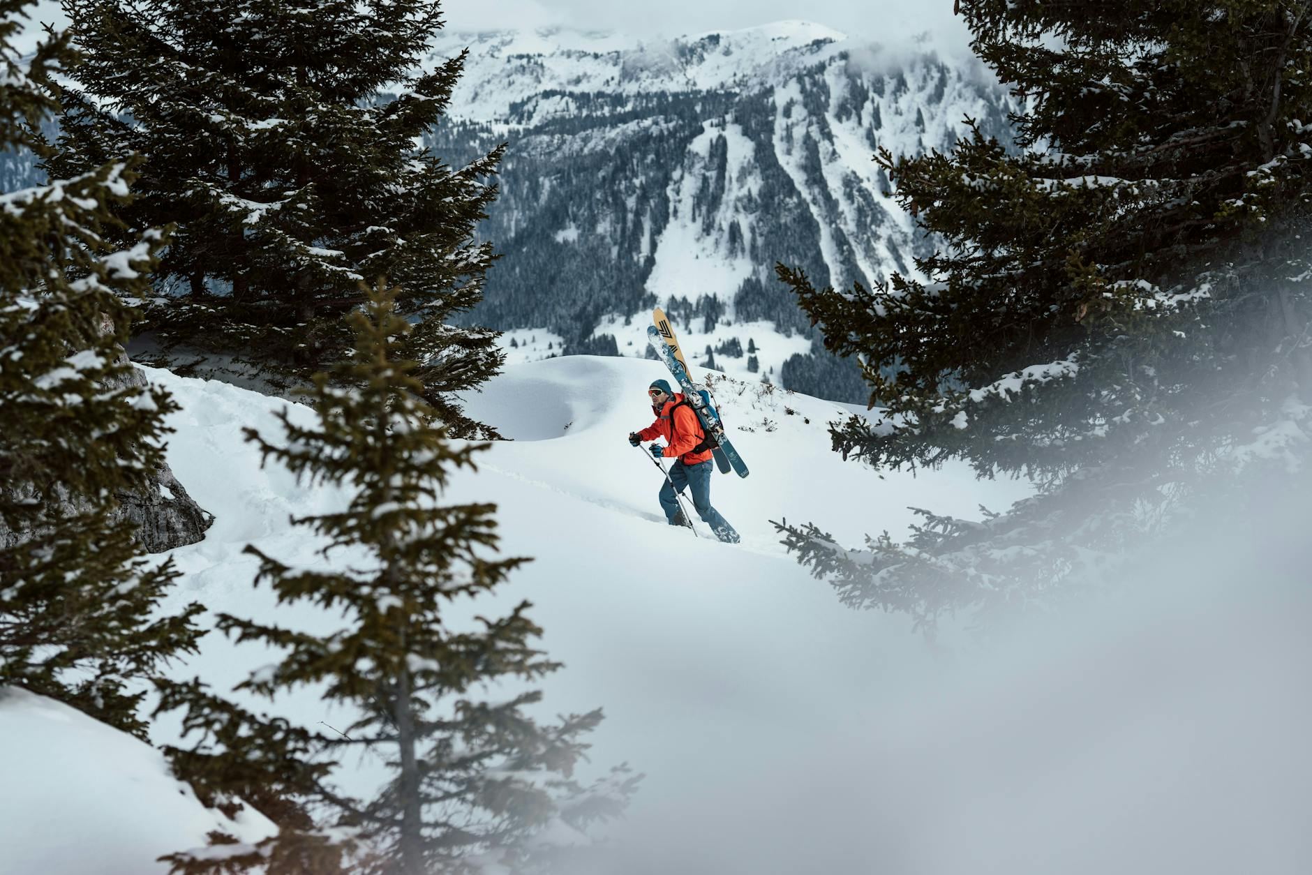 Man hiking with skis on snowy mountain amidst evergreen trees, showcasing winter adventure.