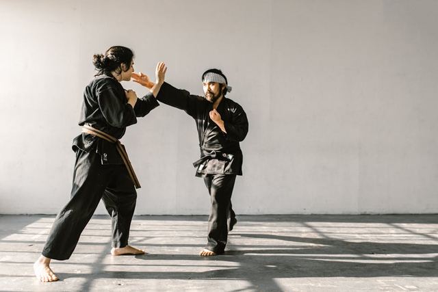 What Is Systema? A Beginner's Guide to Getting Started