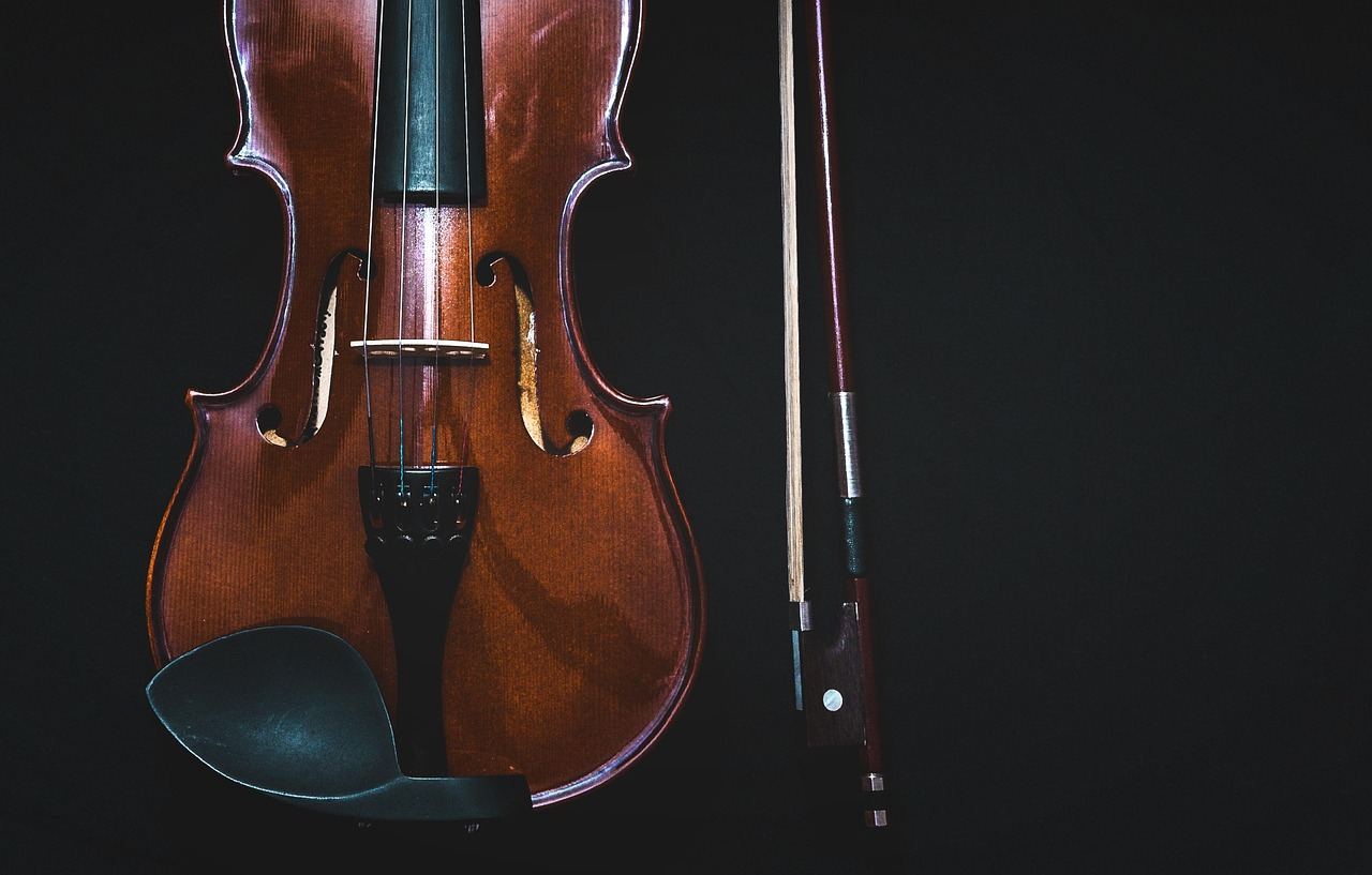 bowed instrument