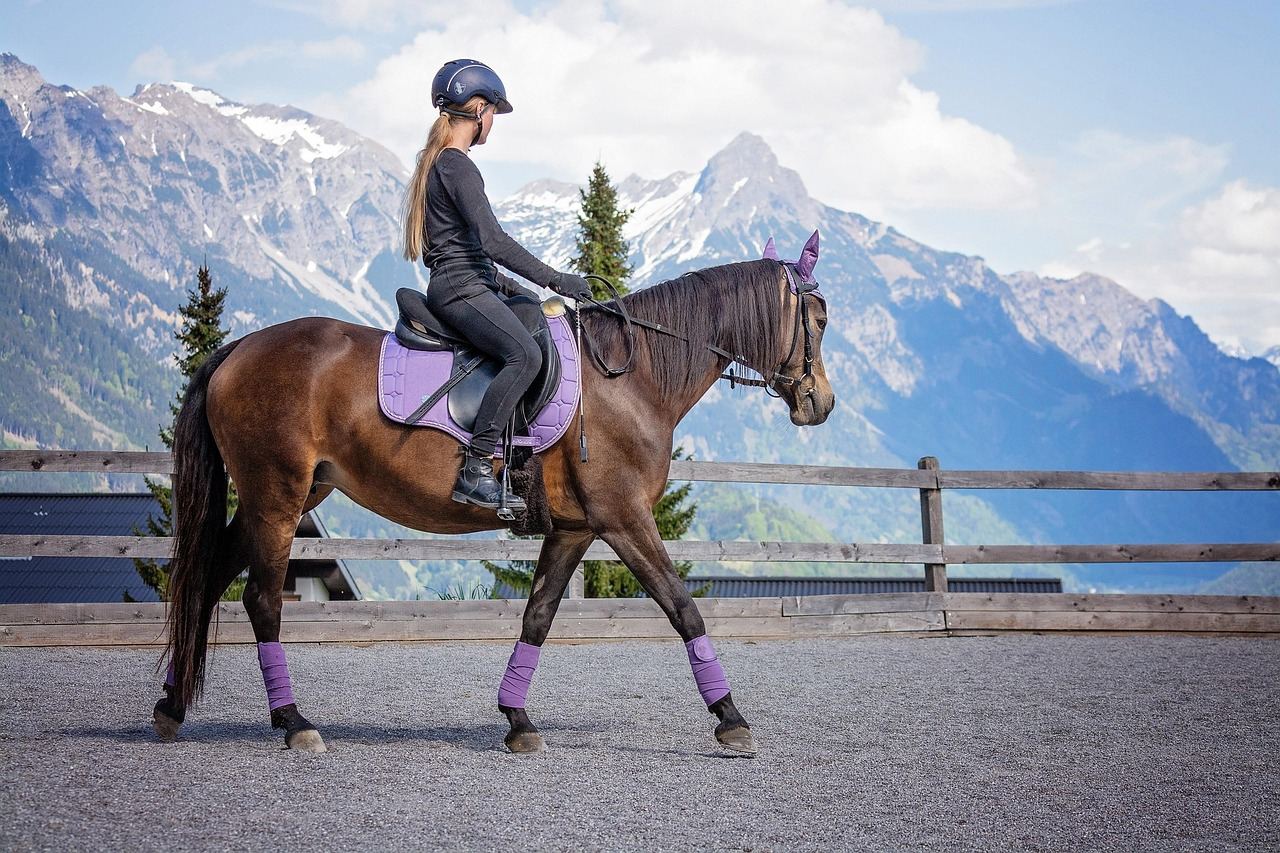 A majestic brown horse stands in a sunlit stable, its mane gently swaying in the breeze.