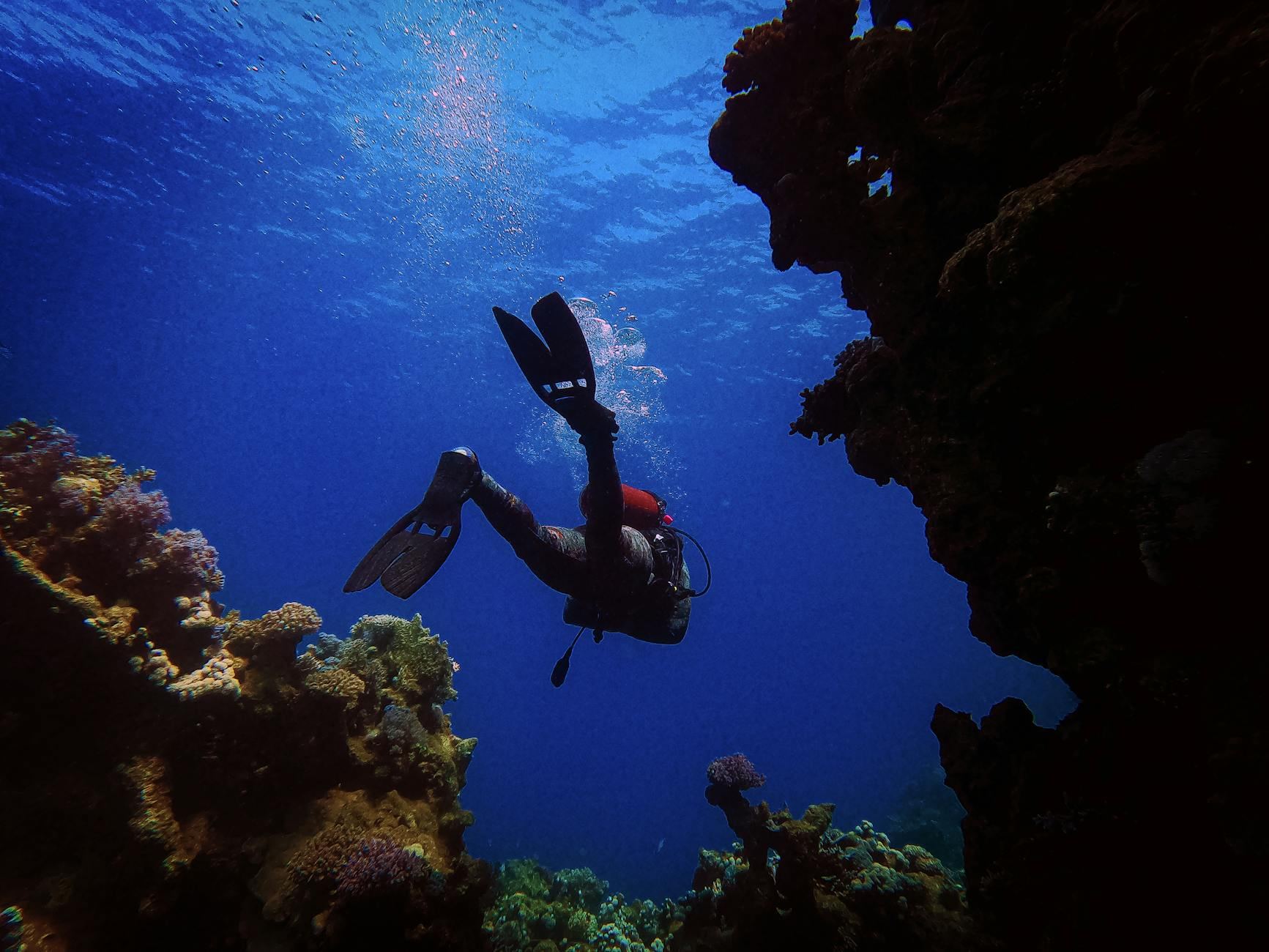 A scuba diver glides through colorful coral formations, surrounded by the deep blue hues of the ocean.