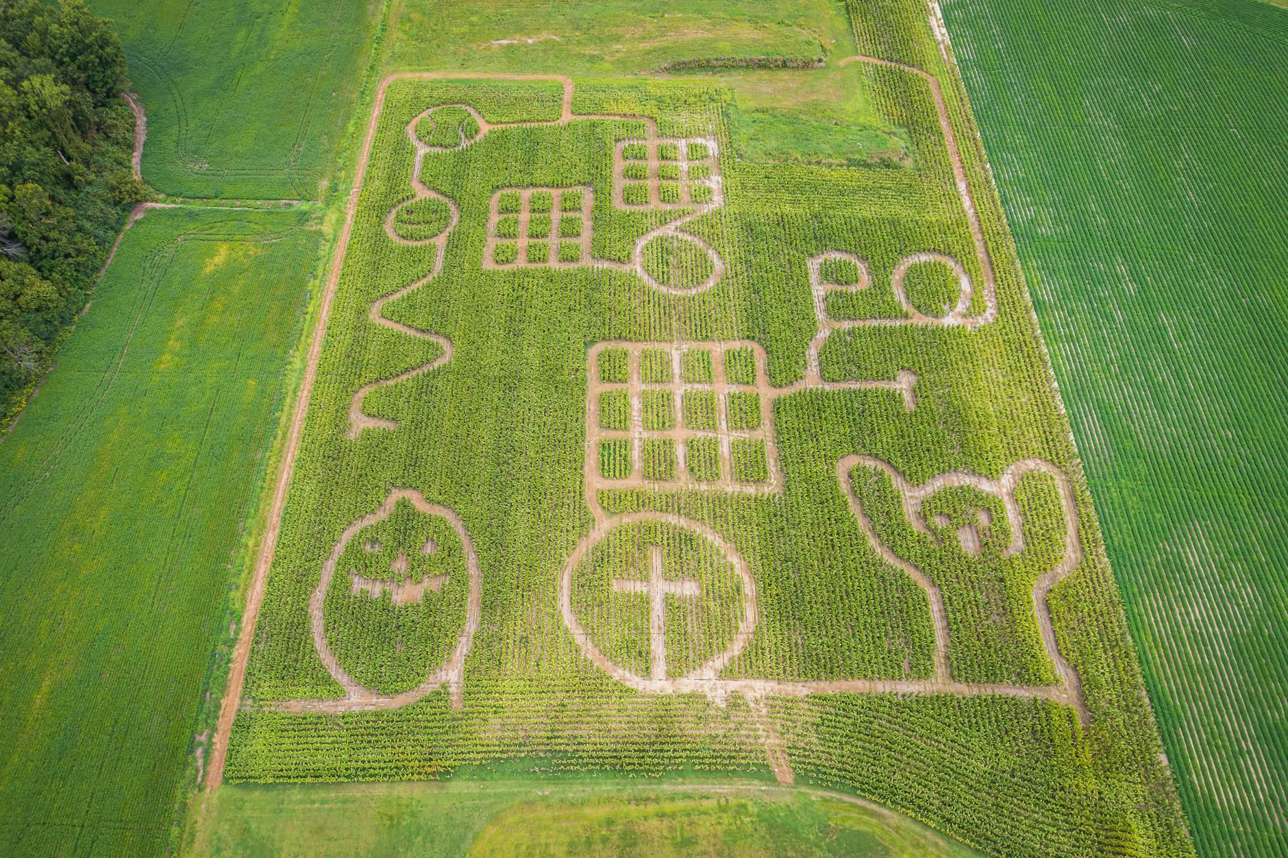 Aerial view of a complex corn maze featuring unique patterns, surrounded by vibrant green fields in Hertford, NC.