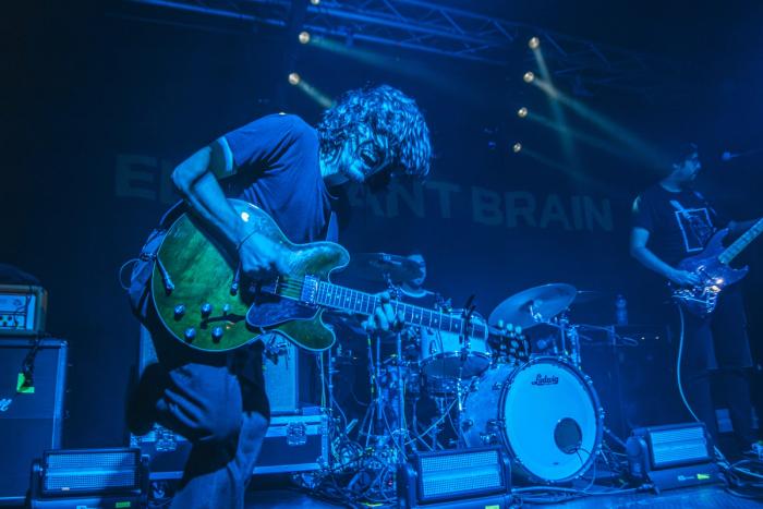 Elephant Brain · Astro