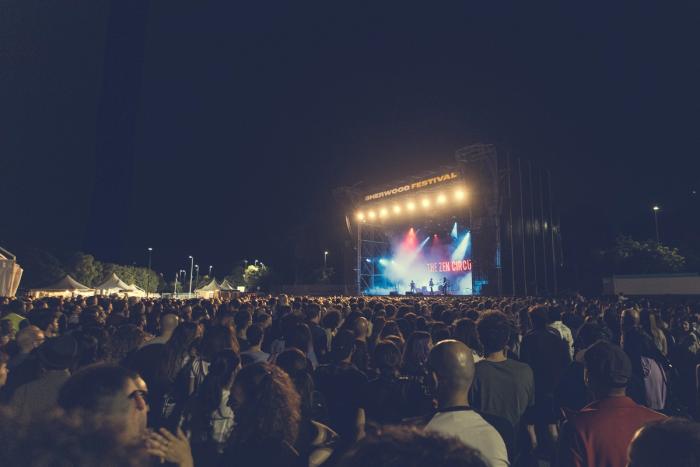 The Zen Circus · Sherwood Festival