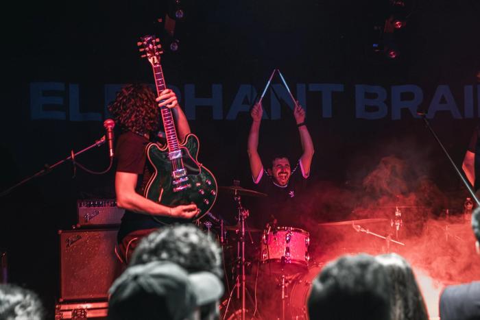 Elephant Brain · Astro