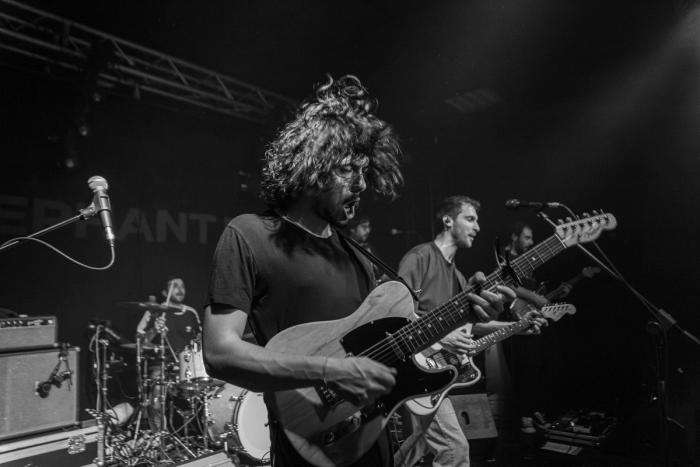 Elephant Brain · Astro