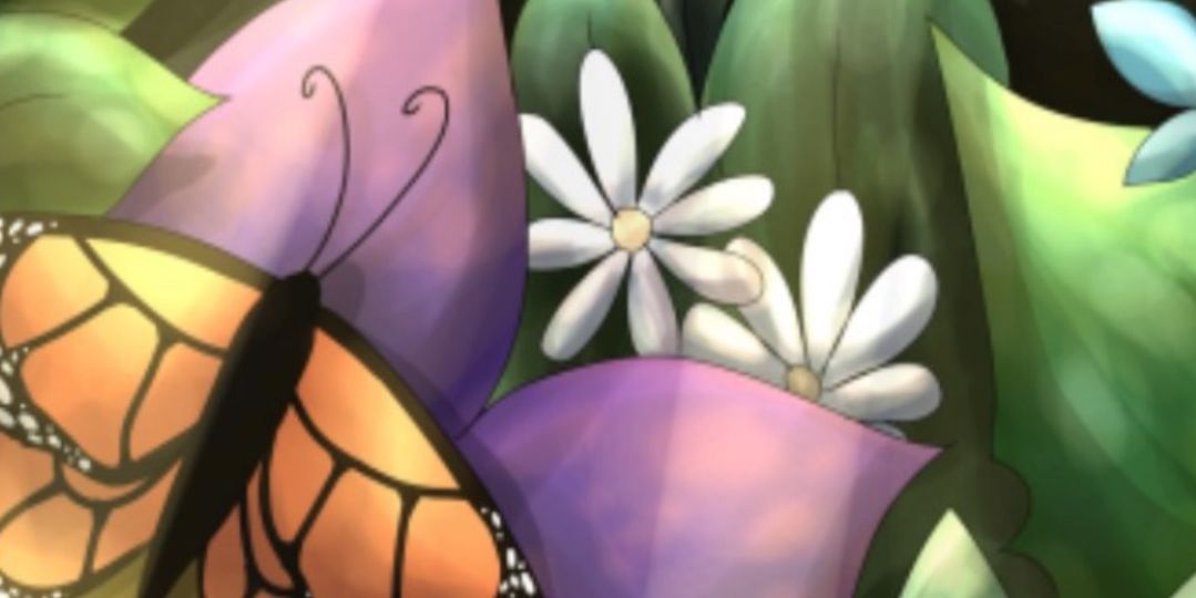 Picture of butterfly on plants