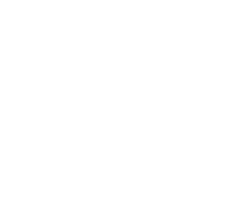 The 66 logo
