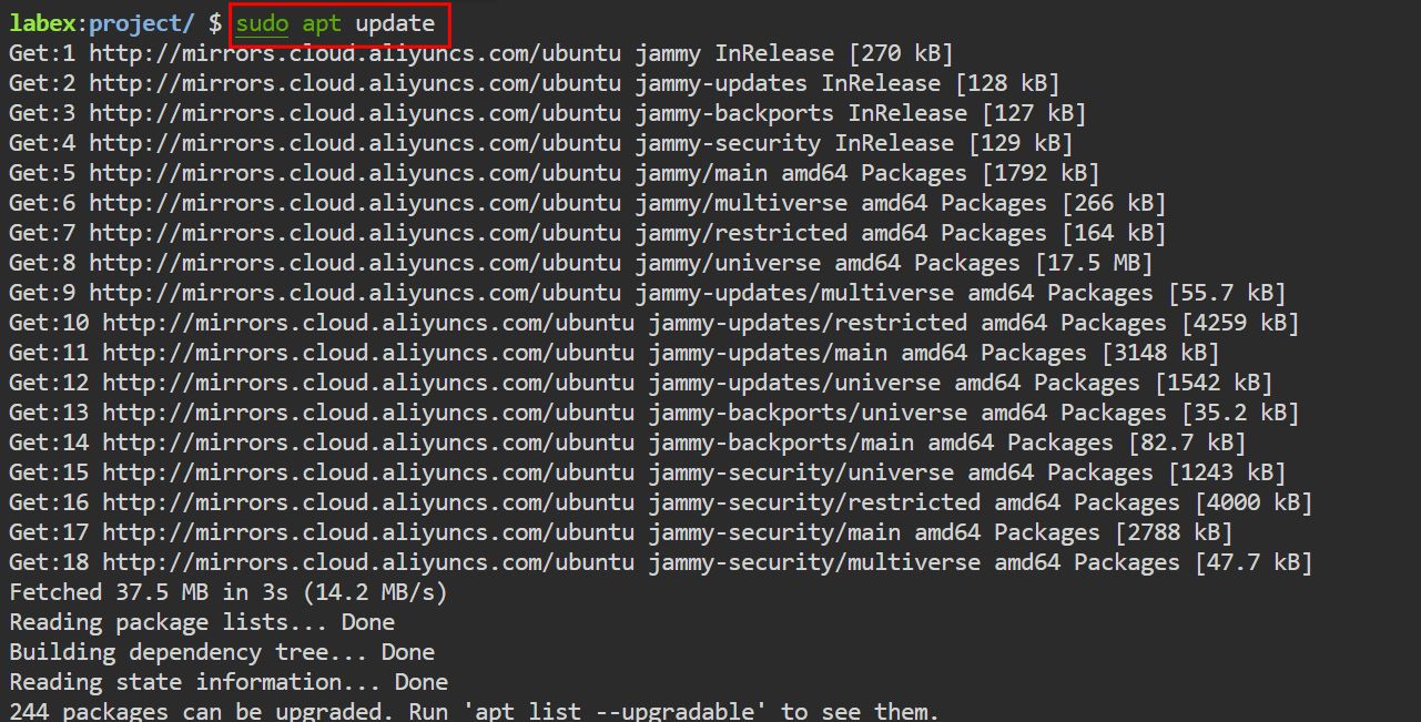 Updating Package Lists on Ubuntu Using sudo apt update