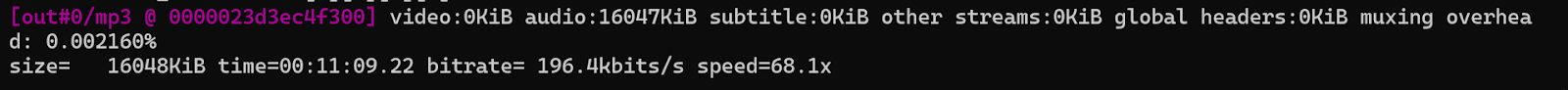 MP3 Audio Extraction Output