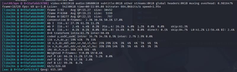 Batch Processed Video Output