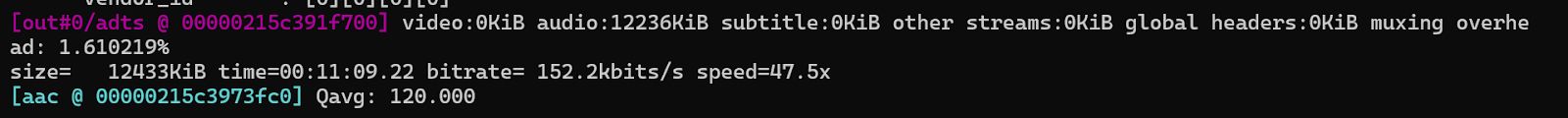 AAC Audio Extraction Output
