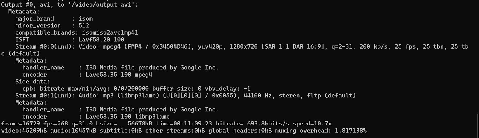 FFmpeg Command Execution Inside Docker Container