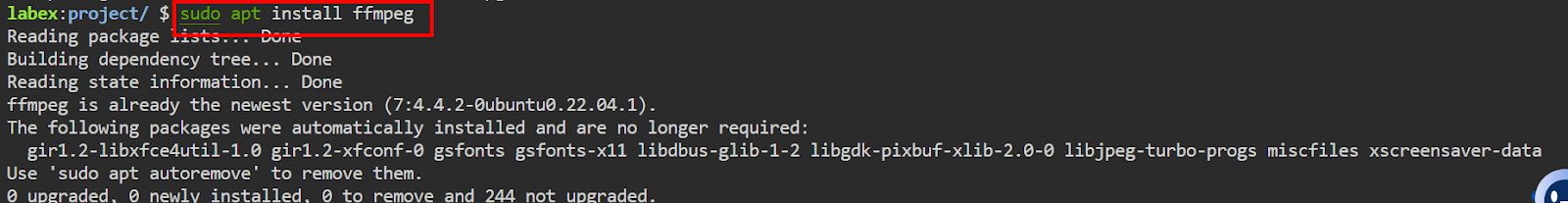 Installing FFmpeg and Dependencies via APT