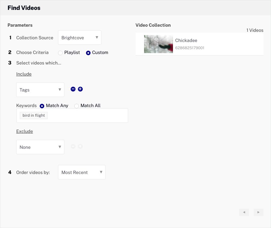Find Videos Window